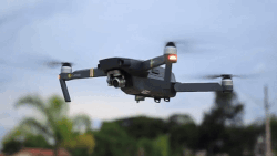 Product image of Black Falcon 4K