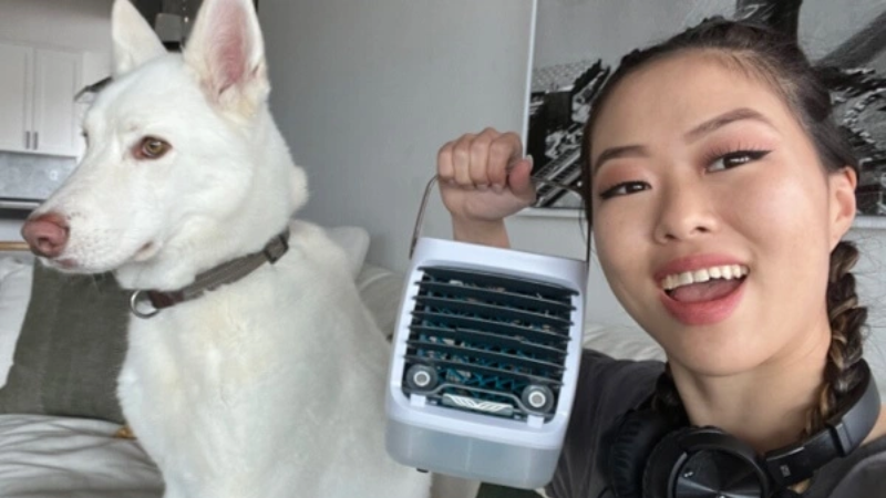 Product image of Chillwell