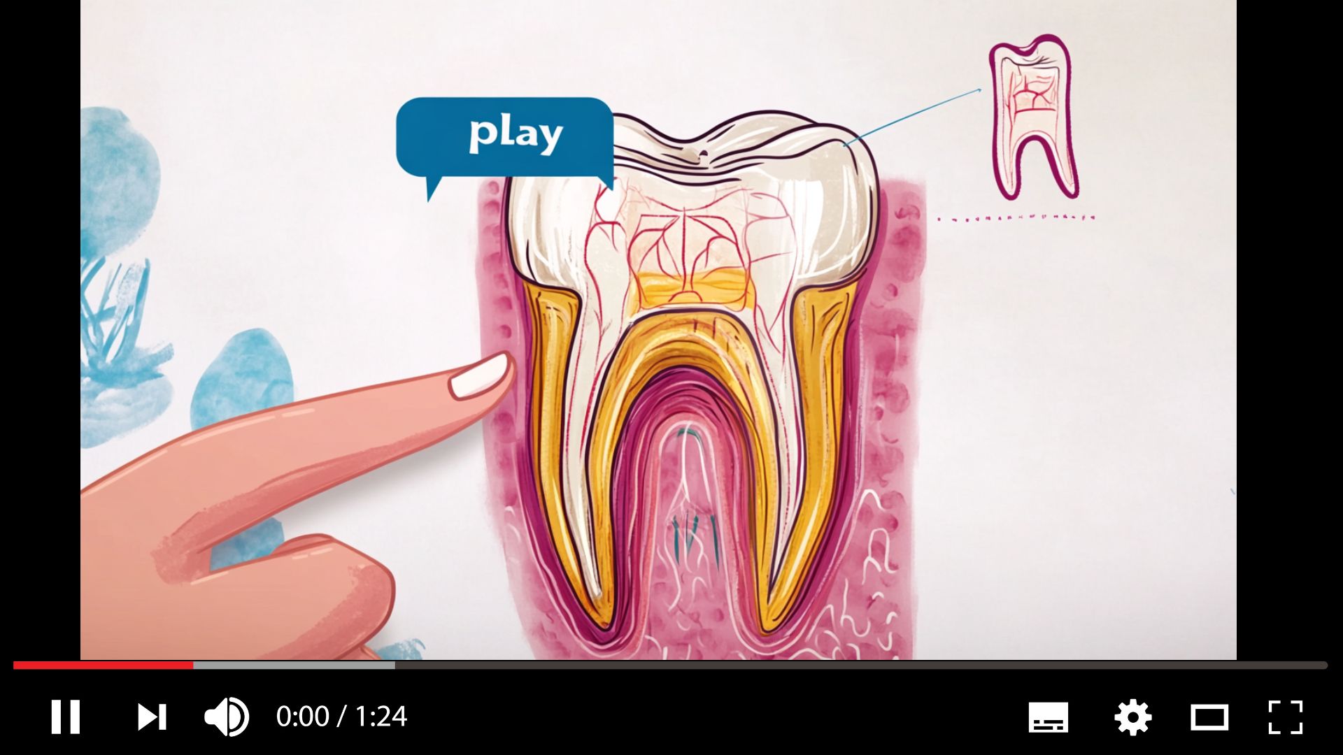 Product image of Purdentix